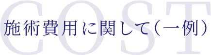 施術費用に関して（一例）